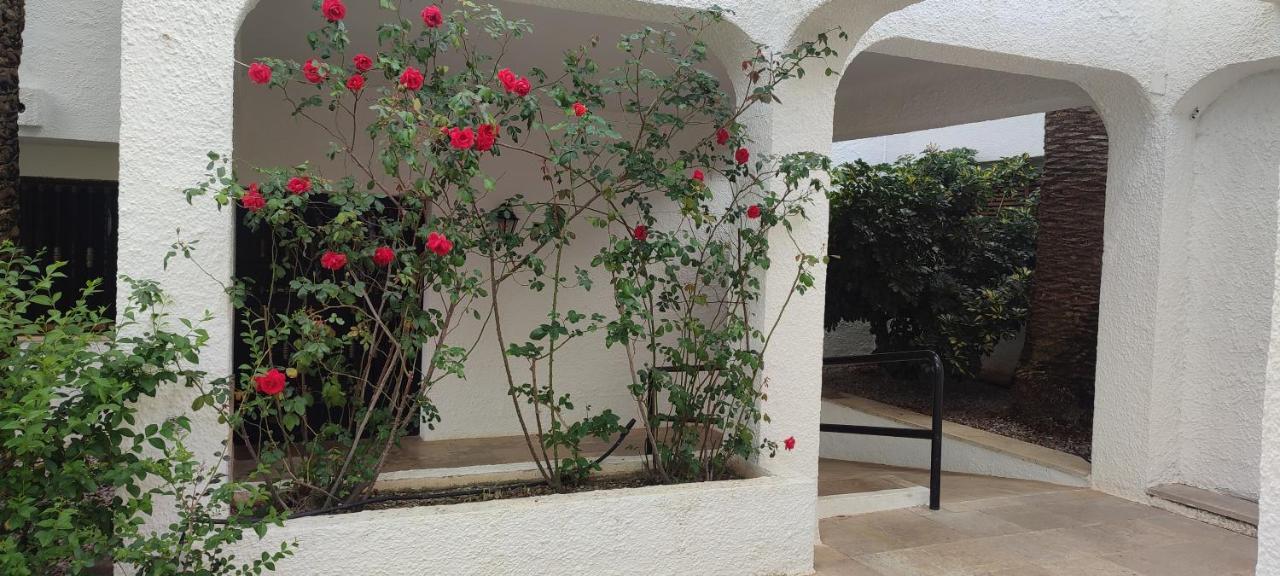 Apartamento Con Vistas Al Puerto Deportivo Las Fuentes Alcossebre Buitenkant foto